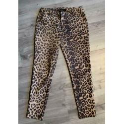 NIEUW: Drole de Copine Panter Print Broek Bruin Loavies S