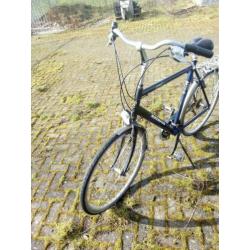 herenfiets batavus