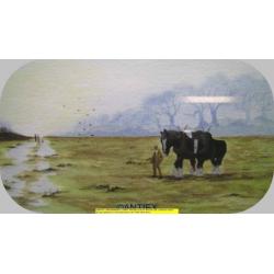 9692 - aquarel paarden - William James - € 35