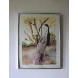 aquarel Kraanvogels