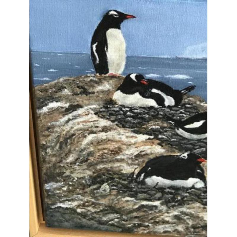 Pinguïn vogels schilderij 40x30 cm