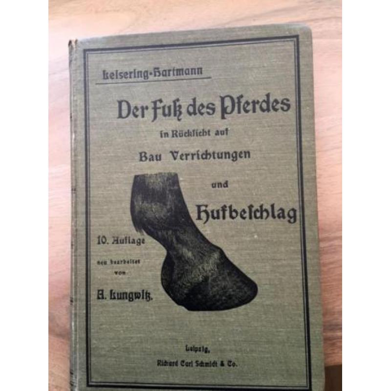 Der Fuss des Pferdes