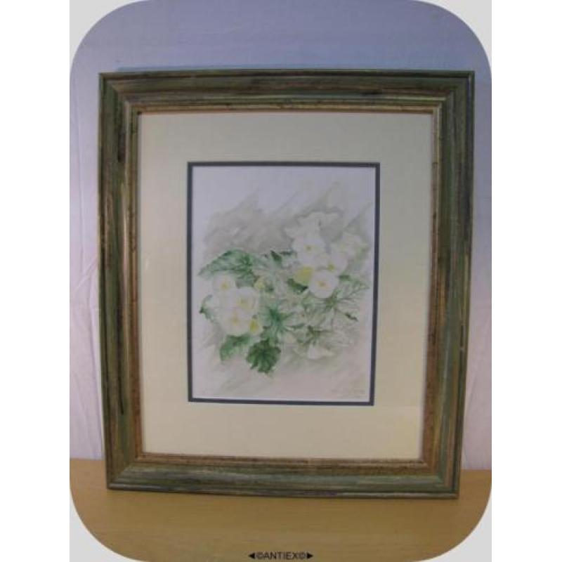 1701 - aquarel bloemen Jan Mesman - € 75