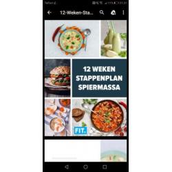 Fit - voedingsplan en stappenplan afvallen en spiermassa