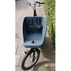 Bakfiets Dolly Nexus 8 versn izgs