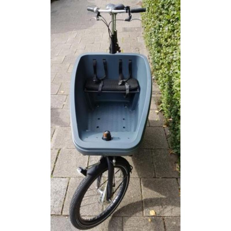 Bakfiets Dolly Nexus 8 versn izgs