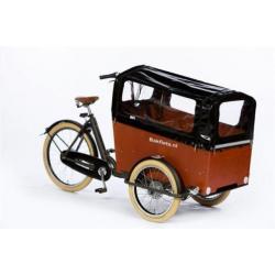 cargoTrike Cruiser Wide Steps