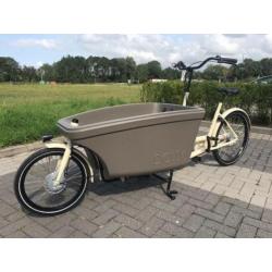 Dolly Bikes Family Nexus 8 model 2018