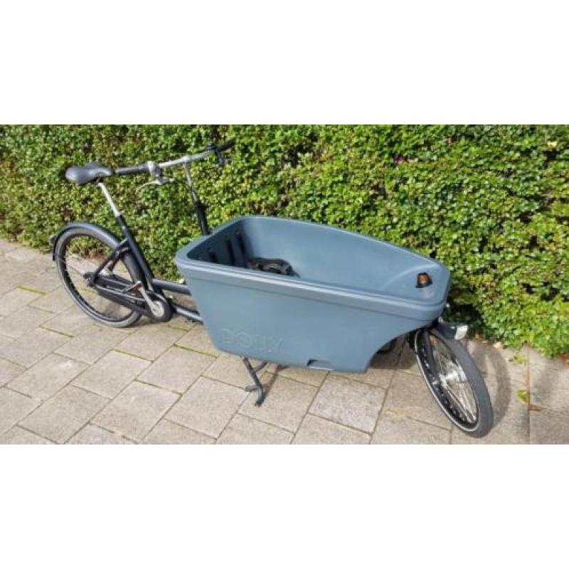 Bakfiets Dolly Nexus 8 versn izgs