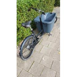 Bakfiets Dolly Nexus 8 versn izgs