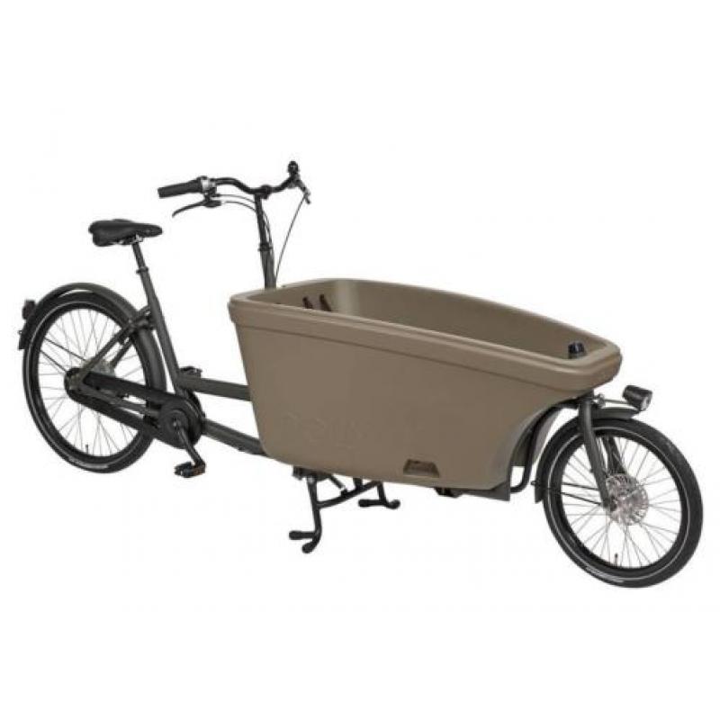 Dolly Bikes Family Nexus 8