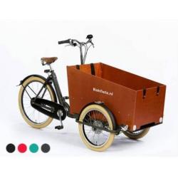 cargoTrike Cruiser Wide Steps