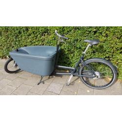 Bakfiets Dolly Nexus 8 versn izgs