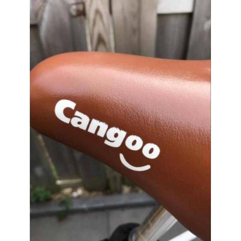 Cangoo downtown bakfiets.