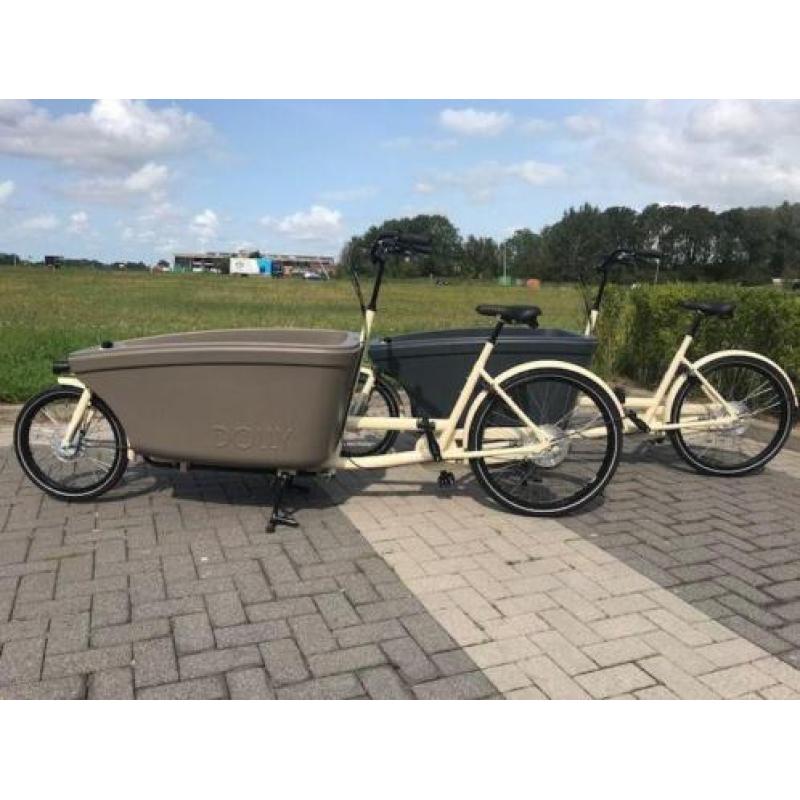 Dolly Bikes Family Nexus 8 model 2018