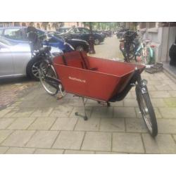 Bakfiets te koop aangeboden