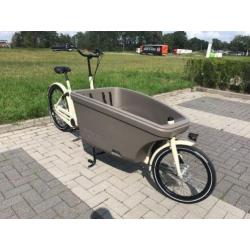 Dolly Bikes Family Nexus 8 model 2018