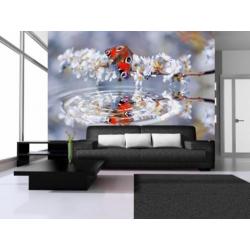 Fotobehang Butterfly Flower Gratis Lijm en Verzenden 1013